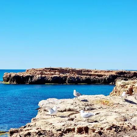 100m From The Paradisiacal Coves Of *